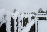 Вытегра утонула в снегу (ФОТО)