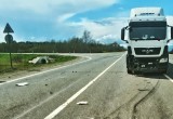 После ДТП с грузовиками под Череповцом в больницу отправили водителя и пассажирку ВАЗа (ФОТО)