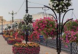В Череповце выбирают необычное цветочное убранство для улиц (ФОТО)