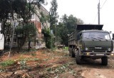 С сучком и задоринкой: горводоканал обязали «восстановить» спиленные деревья