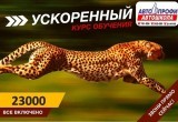 Информация для тех, кто хочет стать водителем, но не знает, как выкроить время на обучение