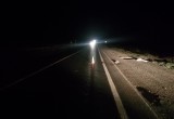 Полиция ищет водителя, сбившего пешехода на трассе Вологда-Тихвин 