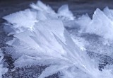 Бородаевское озеро покрылось цветами