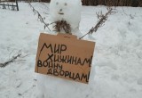 Полицеские пресекли незаконный митинг снеговиков