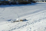 Вологжанка требует разобраться с канализационным стоком на ул. Горького (ФОТО) 
