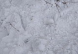 Ледяная глыба едва не убила вологжанку прямо на пороге дома