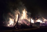 Семья пенсионеров осталась без жилья после страшного пожара в Шекснинском районе