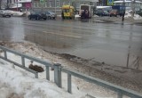 Пассажирский автобус с больным водителем попал в ДТП на ул.Чернышевского 