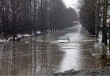 52 млн. рублей потратят на ремонт ул. Доронинской в Вологде 