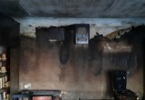 Вся семья погибла утром в сгоревшей квартире на Пошехонском шоссе в Вологде