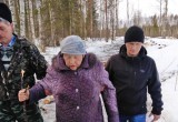 В Усть-Кубинском районе полицейские вывели из леса 72-летнюю женщину