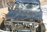 Водитель без прав улетел в кювет на трассе в Бабаевском районе 