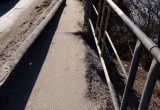 Пешеходный мост на въезде в Лукьяново скоро окончательно развалится 