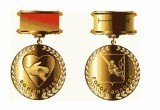 Вячеслав Позгалев  награждён медалью «Во имя детей»