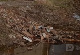 Вологжане сами заваливают мусором берега рек, а потом удивляются запаху от водопроводной воды 