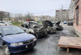 На улице Батюшкова сгорели три автомобиля, четвертый - отстояли пожарные 