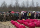 Еще одного вологжанина-красноармейца удалось найти и идентифицировать поисковикам в Новгородской области 