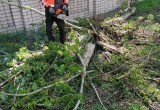 Работы по восстановлению объектов, которые повредил сильный ветер, проводят в Вологде 