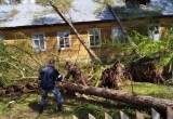 После урагана с градом 5380 жителей Никольского района остались без света