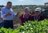 Губернатор Кувшинников узнал, как идет посевная в Вологодском районе