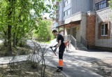 Мэр Вологды дал 10 дней на устранение замечаний по благоустройству на бульваре на ул. Пирогова 