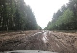 Дорога Вытегра-Ошта превратилась в грязное месиво, но Олег Кувшинников пообещал все исправить 