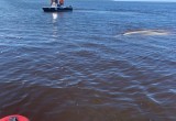 Потерпевший крушение в Кубенском озере катер найден  