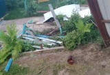 В Череповецком районе неадекватные подростки на ВАЗ 2112 разорили огород соседям 