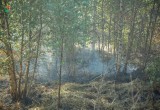 В Вологодском районе загорелся торфяник рядом с Лостой  