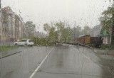 Вологда стала жертвой стихии, о которой предупреждали заранее: поваленные деревья, сорванные крыши, затопленные дворы 