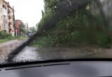 Вологда стала жертвой стихии, о которой предупреждали заранее: поваленные деревья, сорванные крыши, затопленные дворы 