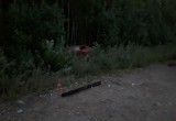 Автоледи из Архангельской области едва не убила ребенка, улетев в кювет под Вожегой  