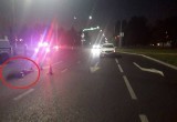 21-летний житель  Вологодской области погиб под колесами BMW X3  