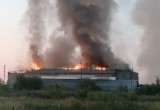В Соколе полностью сгорела пилорама на улице Добролюбова  