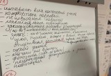 В Вологде обсуждают, каким будет Затоновский пляж