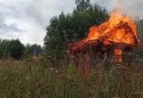 В Вологодской области рядом с лесным массивом подожгли брошенный сарай  