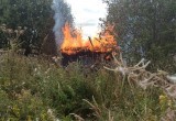 В Вологодской области рядом с лесным массивом подожгли брошенный сарай  
