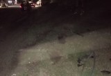 Появилось видео с места ДТП в Вологодской области, где перевернулся в полете кроссовер Тойота