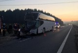 Вологодский автобус попал в страшную аварию на трассе М-8 во Владимирской области 