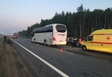 Появились подробности ночного ДТП с вологодским автобусом: среди пострадавших есть дети