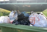 Жители и дачники деревни Горка С/П Высоковское боятся зарасти в мусоре