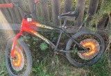 Пожилой вологжанин раздавил 8-летнего ярославца, катавшегося на велосипеде по дороге  
