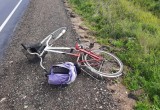 ДТП со сбитой велосипедисткой в Вологодской области попало на видео  