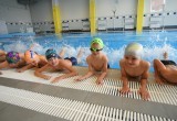 В Вологде начались бесплатные занятия по плаванию для второклашек