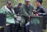 Еще один грибник-потеряшка найден волонтерами в Вологодской области  
