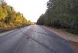 Пожилой вологжанин разбился насмерть на трассе в Вологодской области  