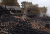 Появились шокирующие подробности пожара, в котором заживо сгорел 58-летний вологжанин  