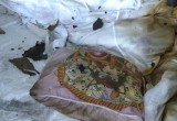 В Вологодской области полицейские спасли от мучительной смерти 5-летнюю девочку с котенком и её родителей  