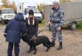 Двое школьников из 4 кадетского класса Верховажья задержали преступника