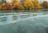 Бирюзовая вонючая вода в Белозерском канале абсолютно безвредна  
